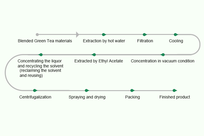 TEA  POLYPHENOLS AND EGCG